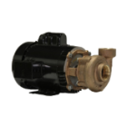 scot pump bronze Scot Pump Bronze